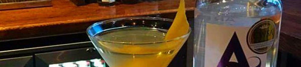 MEET THE AMBASSADOR SERIES: IT’S ALL ABOUT GIN